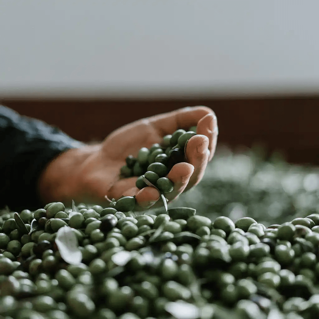 Frantoio Famiglia Pomponio olio extra vergine di oliva vendita online